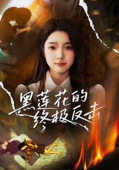免费在线观看《黑莲花的终极反击》