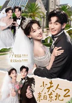 免费在线观看《少夫人来自东北2》