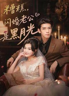 免费在线观看《糟糕，闪婚老公是黑月光》