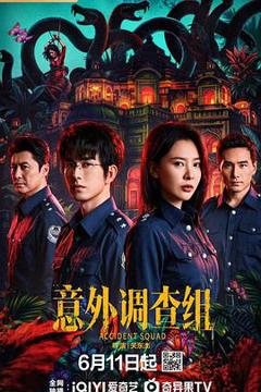 免费在线观看《意外调查组》