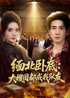 免费在线观看《缅北卧底：大嫂团都成我队友》
