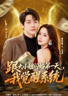 免费在线观看《跟大小姐闪婚第一天，我觉醒系统》