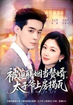 免费在线观看《被迫联姻当赘婿，太子爷上房揭瓦》