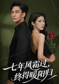 免费在线观看《七年风霜过，终得暖阳归》