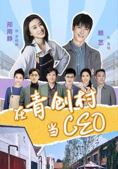 免费在线观看《在青创村当CEO》