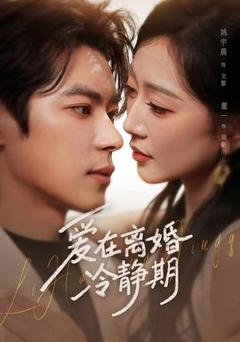 免费在线观看《爱在离婚冷静期》