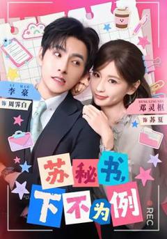 免费在线观看《苏秘书，下不为例》