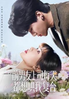 免费在线观看《前男友上司每天都想哄我复合》