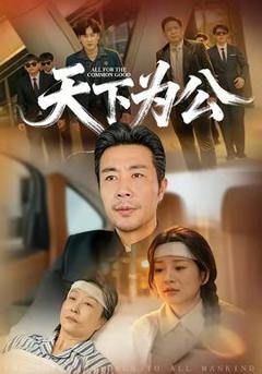 免费在线观看《天下为公》