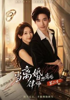免费在线观看《当离婚律师想离婚第二季》