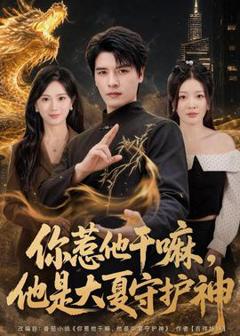 免费在线观看《你惹他干嘛，他是大夏守护神》