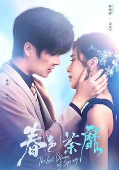 免费在线观看《春色荼靡》