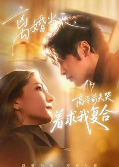 免费在线观看《离婚当天，高冷前夫哭着求我复合》