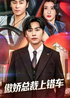 免费在线观看《傲娇总裁上错车》