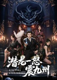 免费在线观看《潜龙一怒震九州》