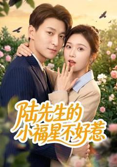 免费在线观看《陆先生的小福星不好惹》
