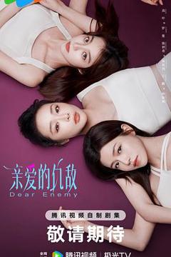 免费在线观看《亲爱的仇敌【影视解说】》