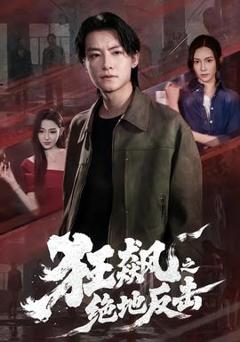 免费在线观看《狂飙之绝地反击》