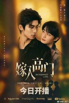免费在线观看《嫁入高门》