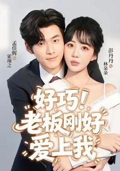 免费在线观看《好巧！老板刚好爱上我》