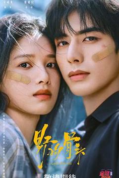 免费在线观看《野狗骨头》