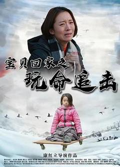 免费在线观看《宝贝回家之玩命追击》