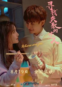 免费在线观看《寻找消失的恋人》