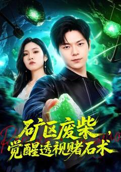 免费在线观看《矿区废柴，觉醒透视赌石术》