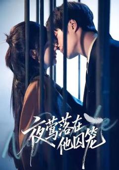 免费在线观看《夜莺落在他囚笼》
