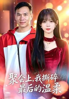免费在线观看《聚会上，我撕碎最后的温柔》