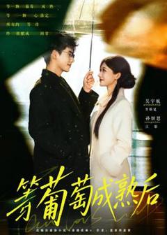 免费在线观看《等葡萄成熟后》
