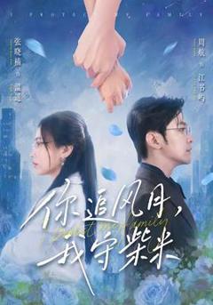 免费在线观看《你追风月，我守柴米》