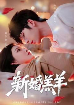 免费在线观看《新婚羔羊》