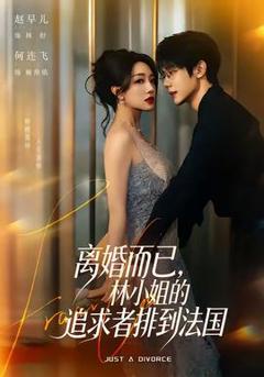 离婚而已，林小姐的追求者排到法国