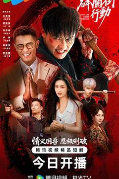 免费在线观看《砵兰街行动》