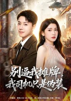 免费在线观看《别逼我摊牌，我司机只是伪装》