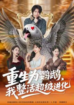 免费在线观看《重生为鹦鹉，我整活超级进化》