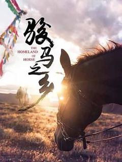 骏马之乡