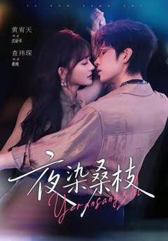 免费在线观看《夜染桑枝》